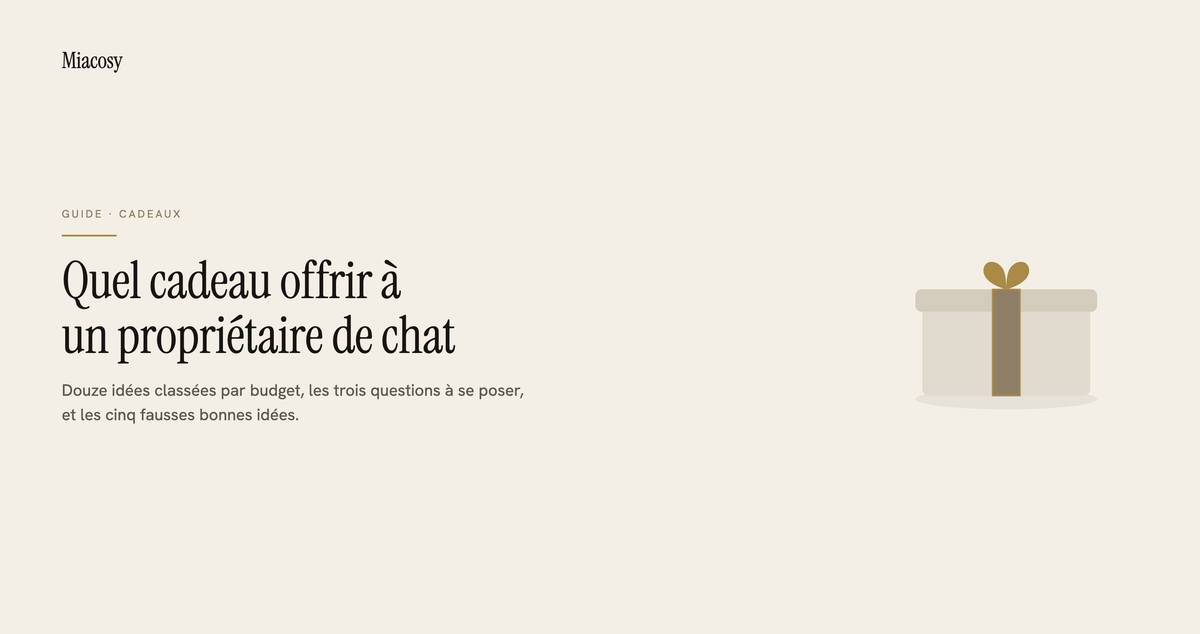 Quel cadeau offrir à un propriétaire de chat — guide Miacosy