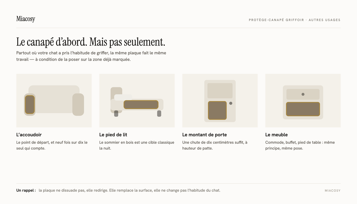 Autres usages du griffoir adhésif : accoudoir de canapé, pied de lit, montant de porte et meuble